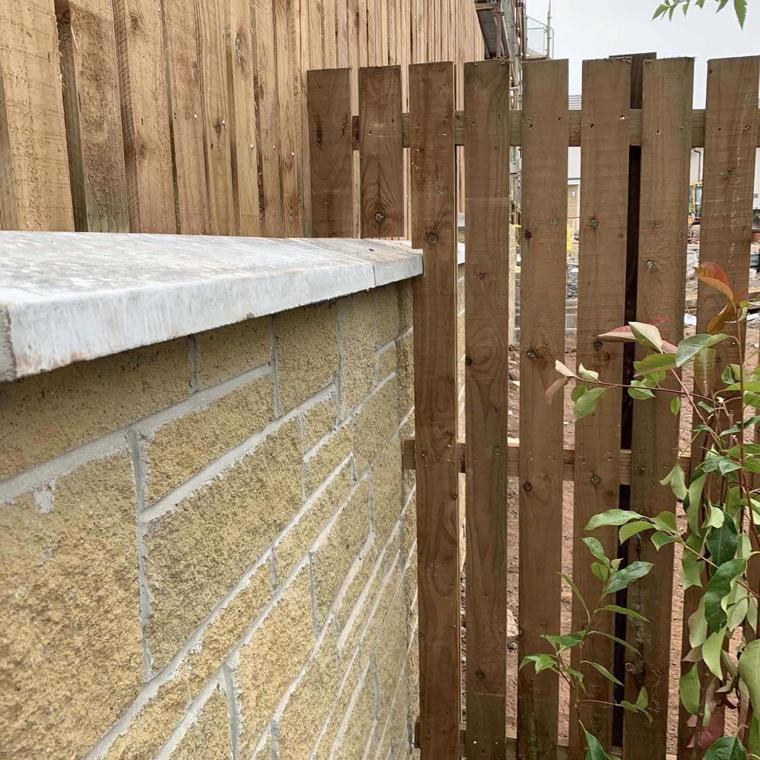 446819166_122101776392342557_477751281054023300_n